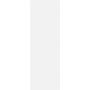 SHINY LINES BIANCO SCIANA REKT. 29,8X89,8 G1 (1.070)