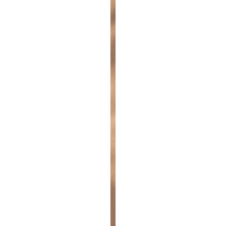 UNIWERSALNA LISTWA METALOWA PARADYZ GOLD 2X89,8 G1