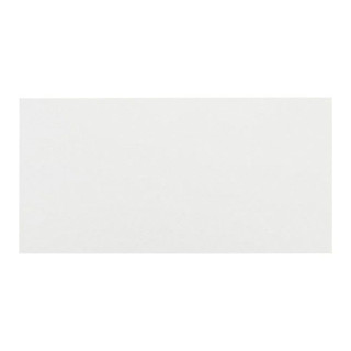 GLAZ 60X30 WHITE/OPP 1.44/8 GL 199WL