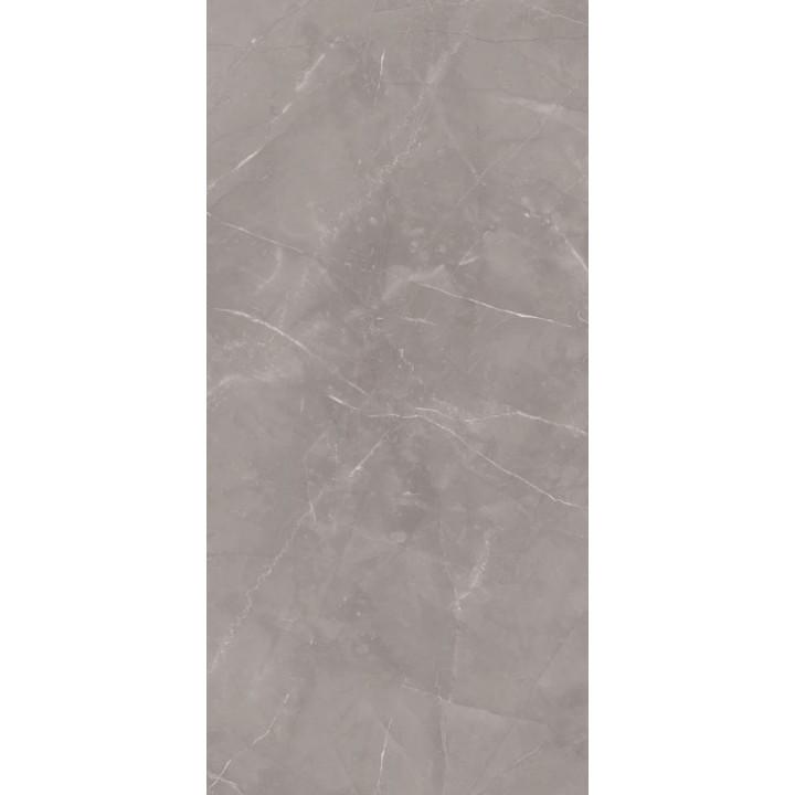 RITUAL GREY GRES SZKL. REKT. MAT 60X120 G1 (1.43)