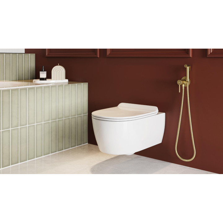 DOTO D 54 SPIN 360 MISKA WC 54CM WISZĄCA, BEZRANTOWA Z DESKĄ WOLNOOPADAJĄCĄ, BIAŁY POŁYSK CEEX.1403.545.WH