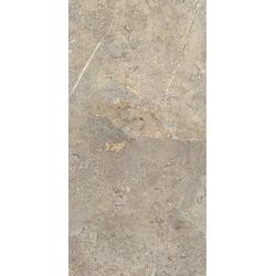 EVERSTONE EVERBROWN RET 120X60 GAT.1 1089324 (1.44)