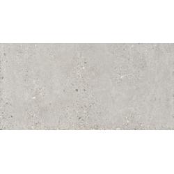 GRES CEMENT TAUPE GNB22GP  597X1197 GAT.1 (1,44)