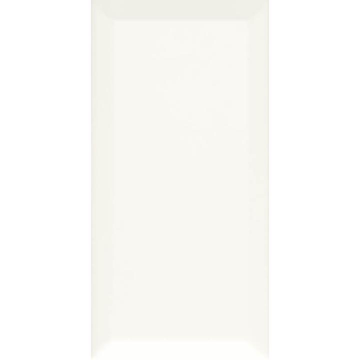 Kolekcja Paradyż Moonlight w miejskim stylu