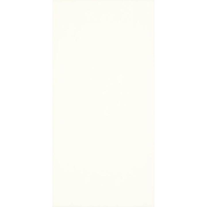 Kolekcja Paradyż Moonlight w miejskim stylu